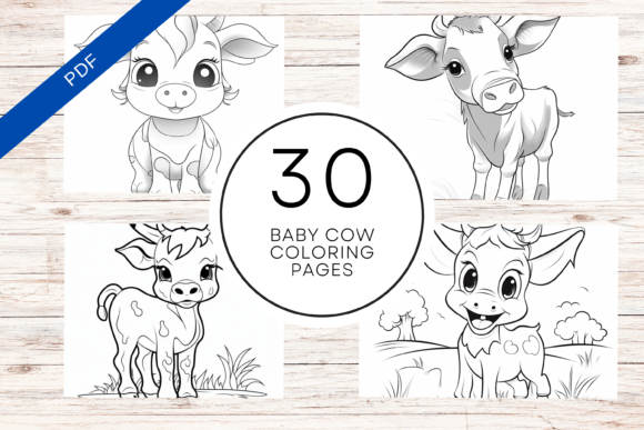 Baby Cow Coloring Book KDP Interior